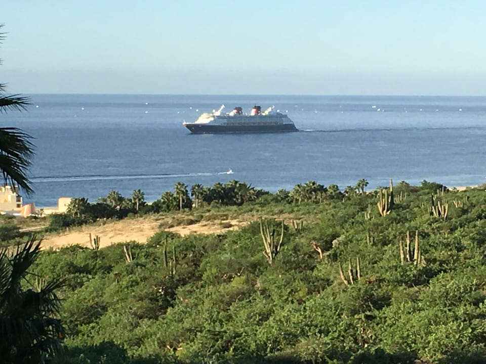 Disney cruise arrives weekly, others (Princess, Carnival) depending on season!