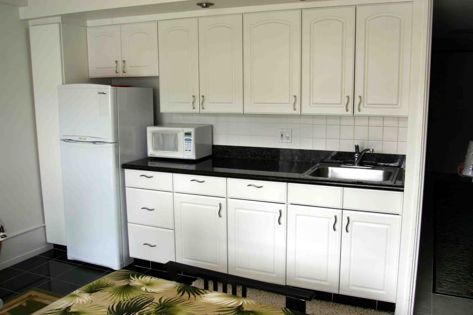 Modern remodeled kitchen, well stocked, open kitchen to living room area