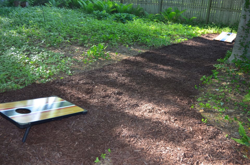 Cornhole