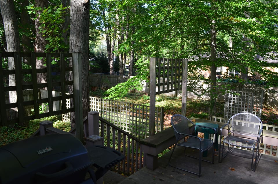 A beautiful wooded area