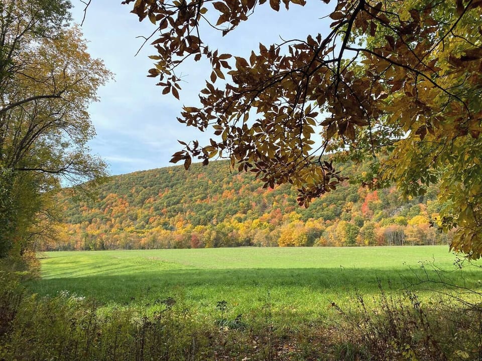 Walking around Stissing lake. 