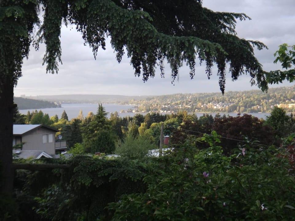 View as seen from living room window. This is not a zoomed in photo of view.