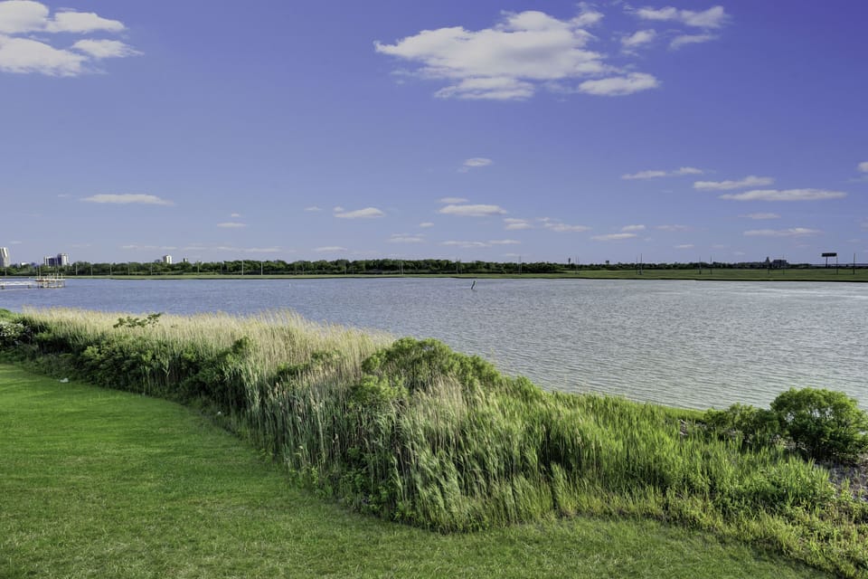 rear greenery area
