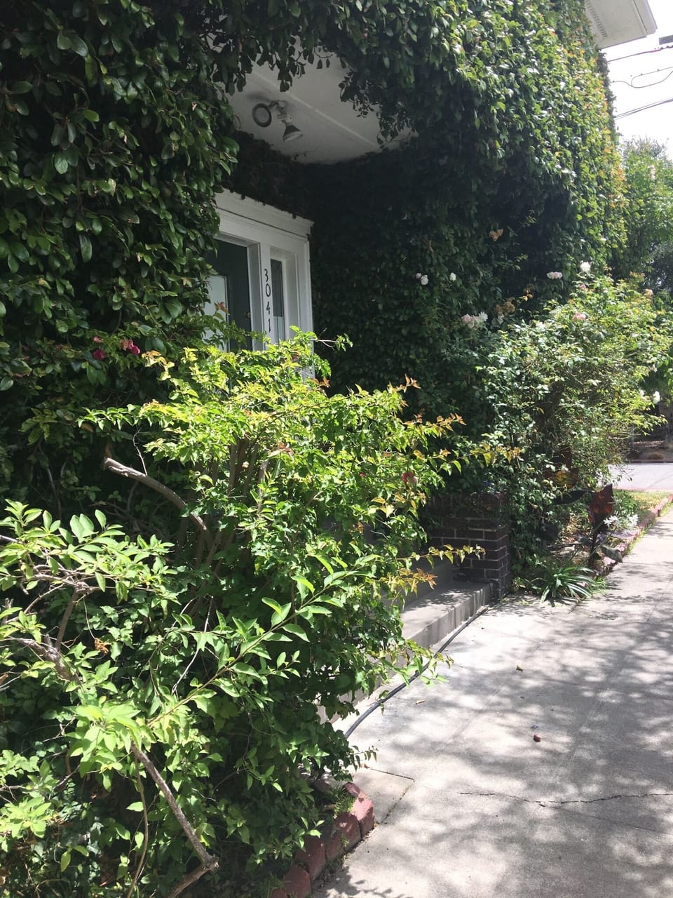 Entry to house. 1908 Edwardian with 4 steps to enter. 