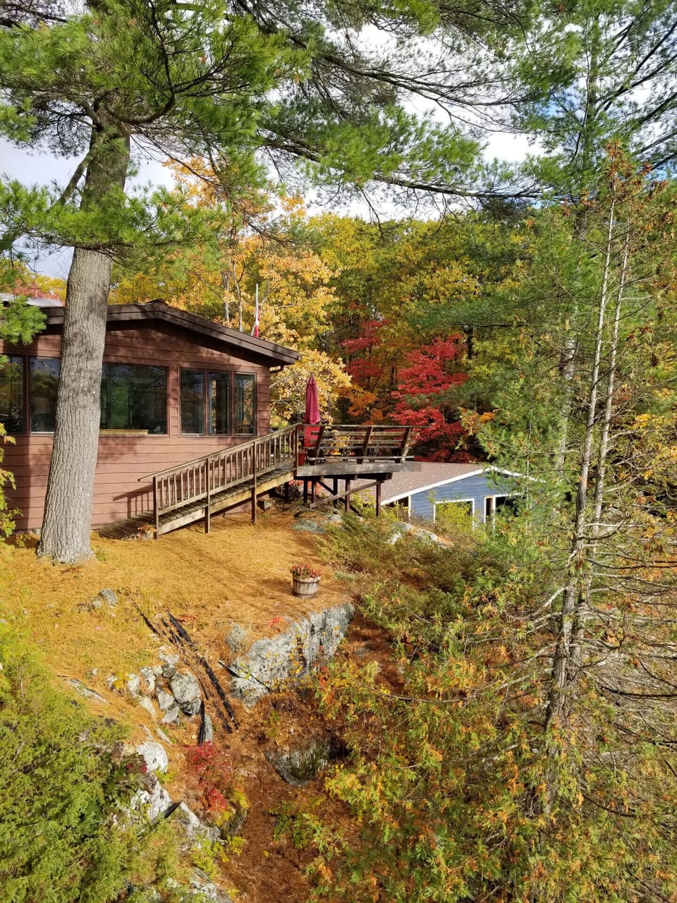 Fall colours