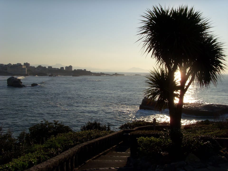Beach/ocean view