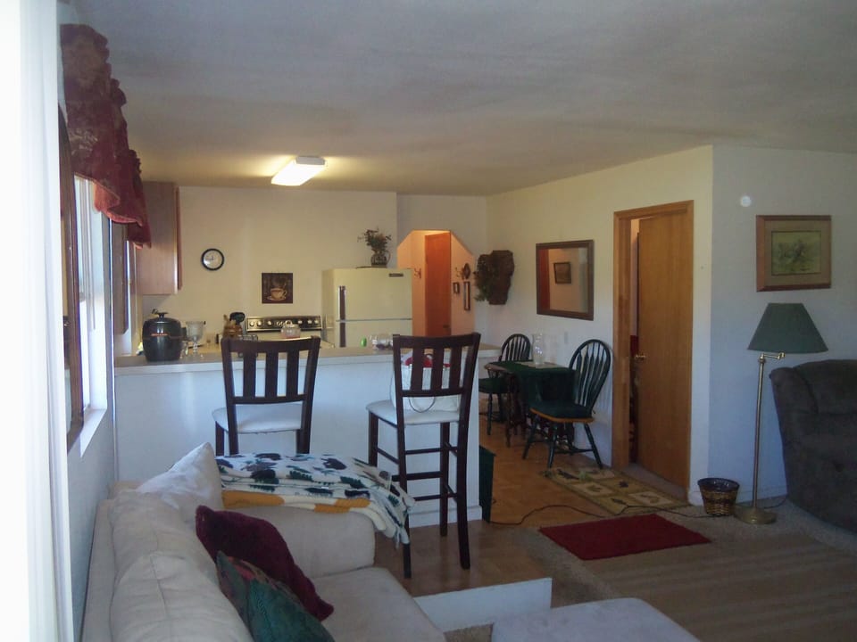 Kitchen and living room