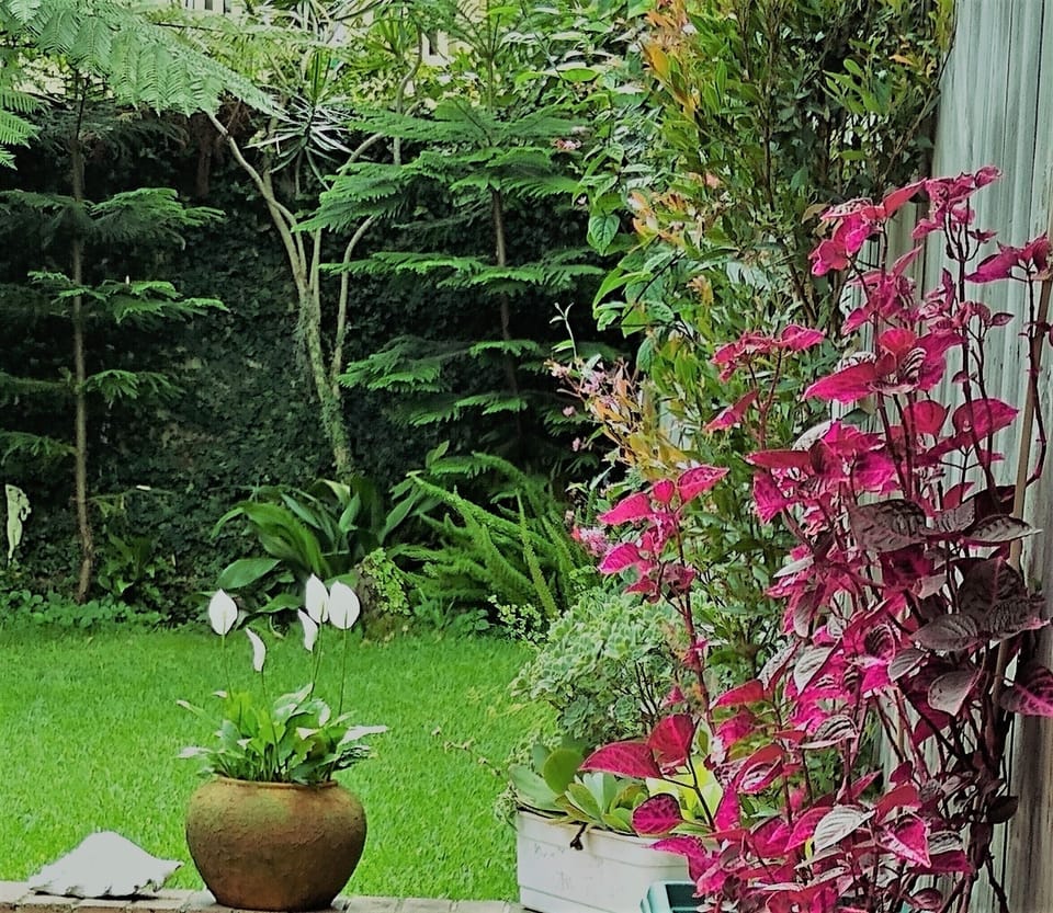 garden