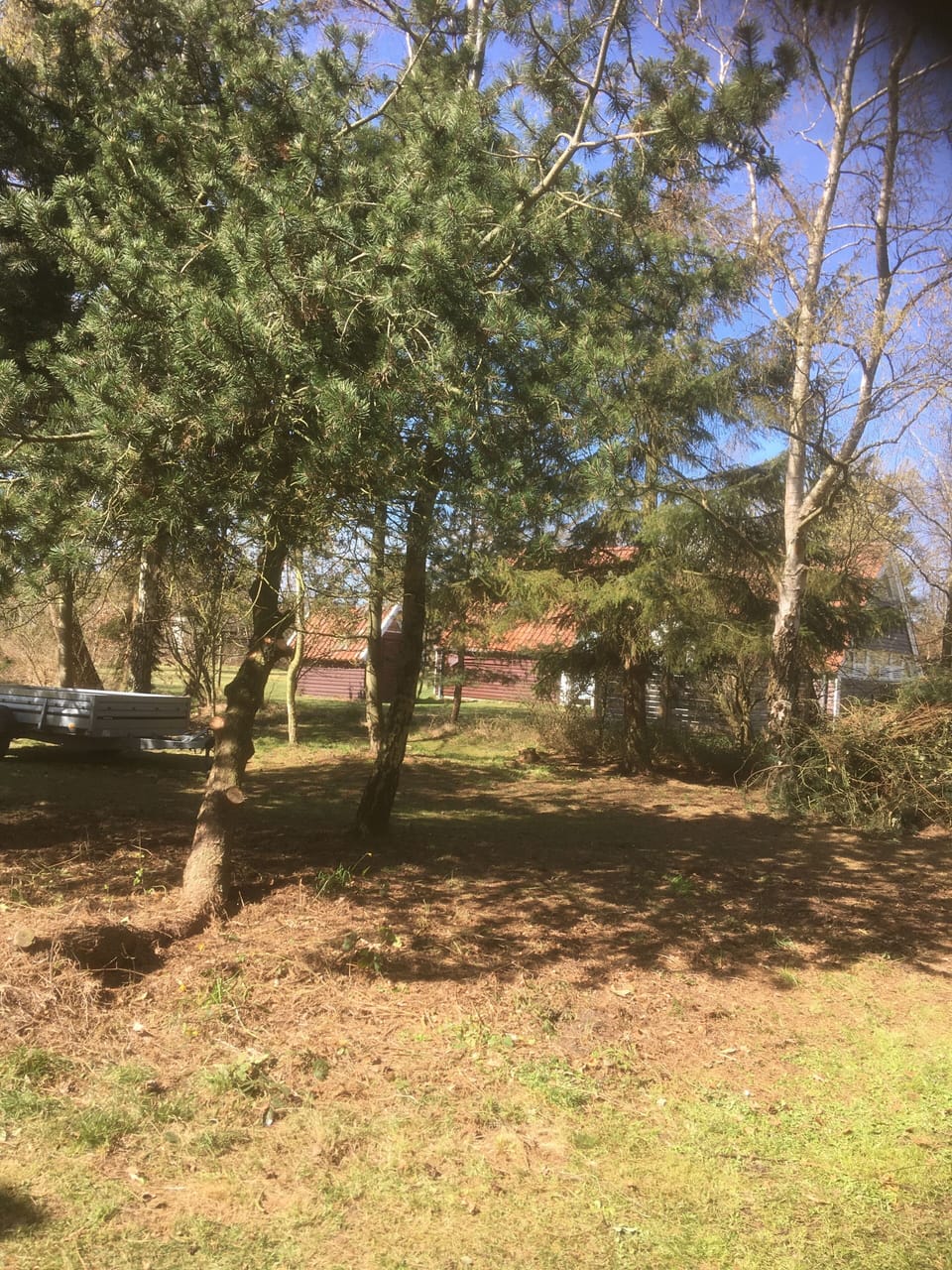 Miscellaneous