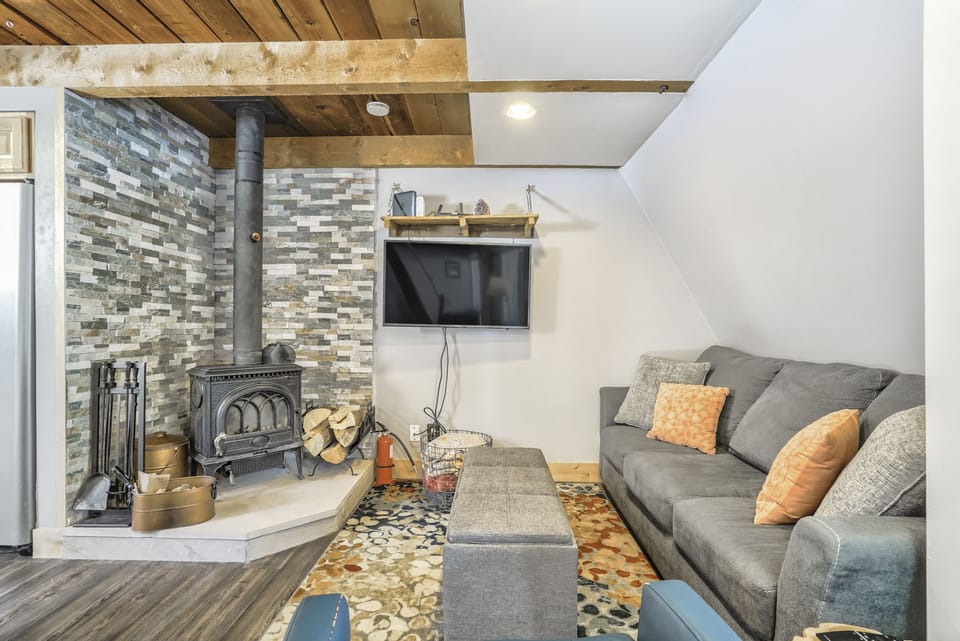 Living room with wood stove and TV