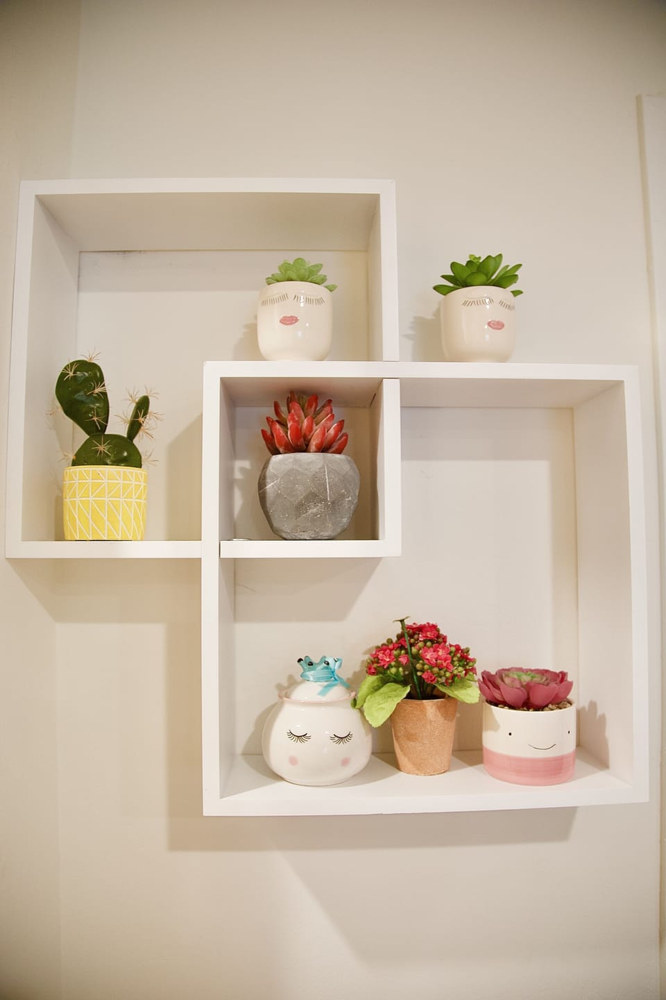 Decorative plants on wall of the house