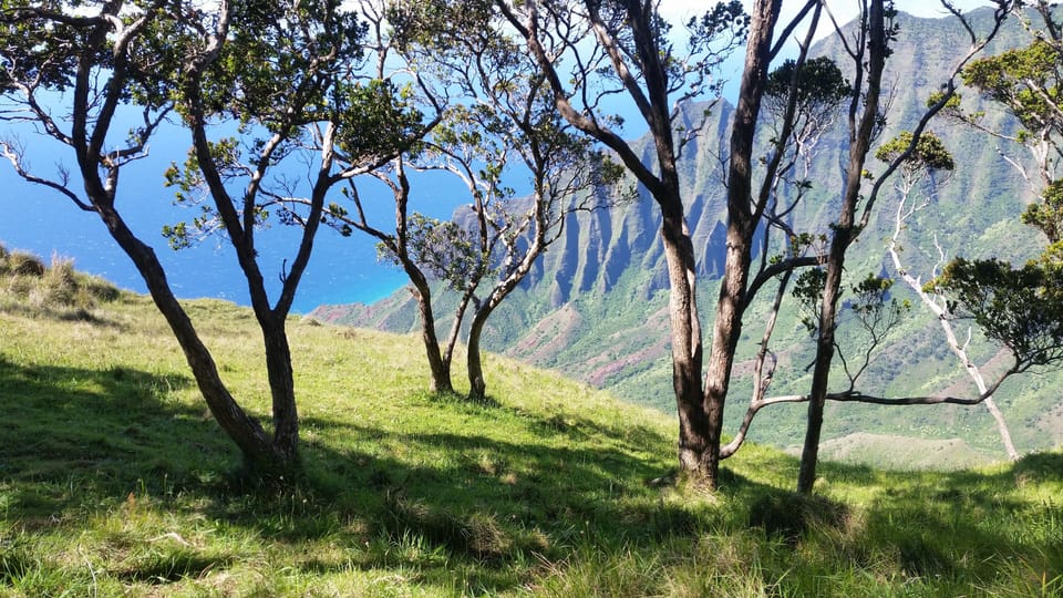 Hiking in Kokee
