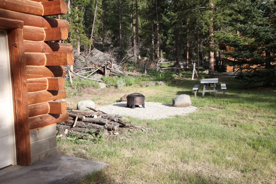 Fire pit with wood provide 