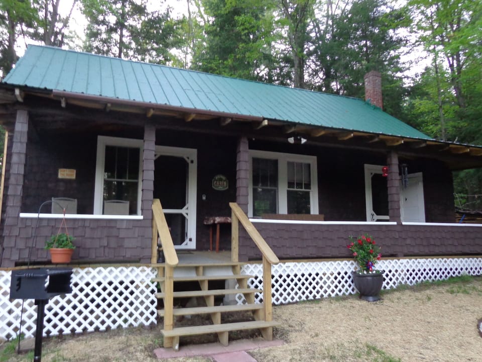 Pine Bear Cottage! Grass is now up and nice and green where planted. 