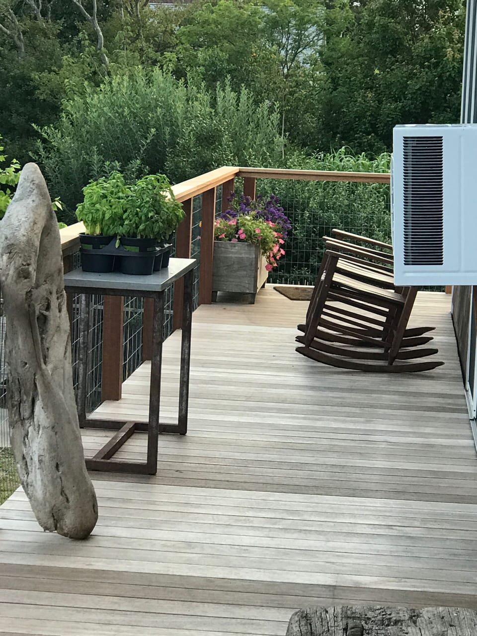 Fresh herbs on deck off Dining Room
