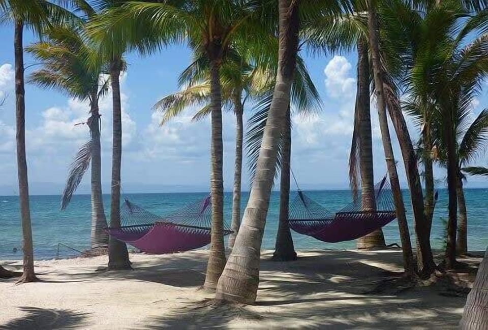 thatch caye hammocks 