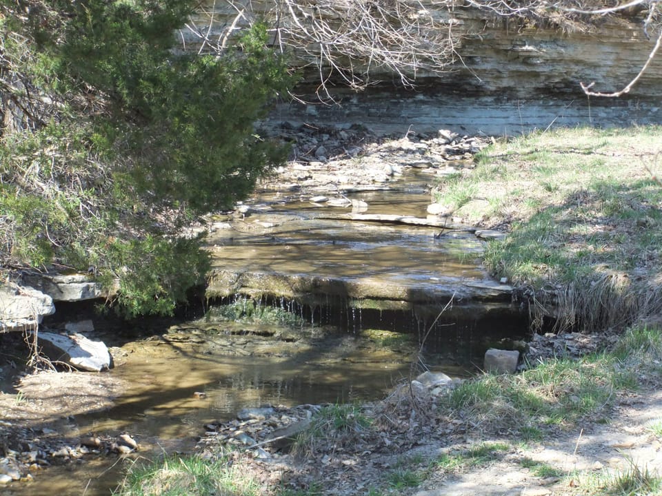 On the driveway to the house