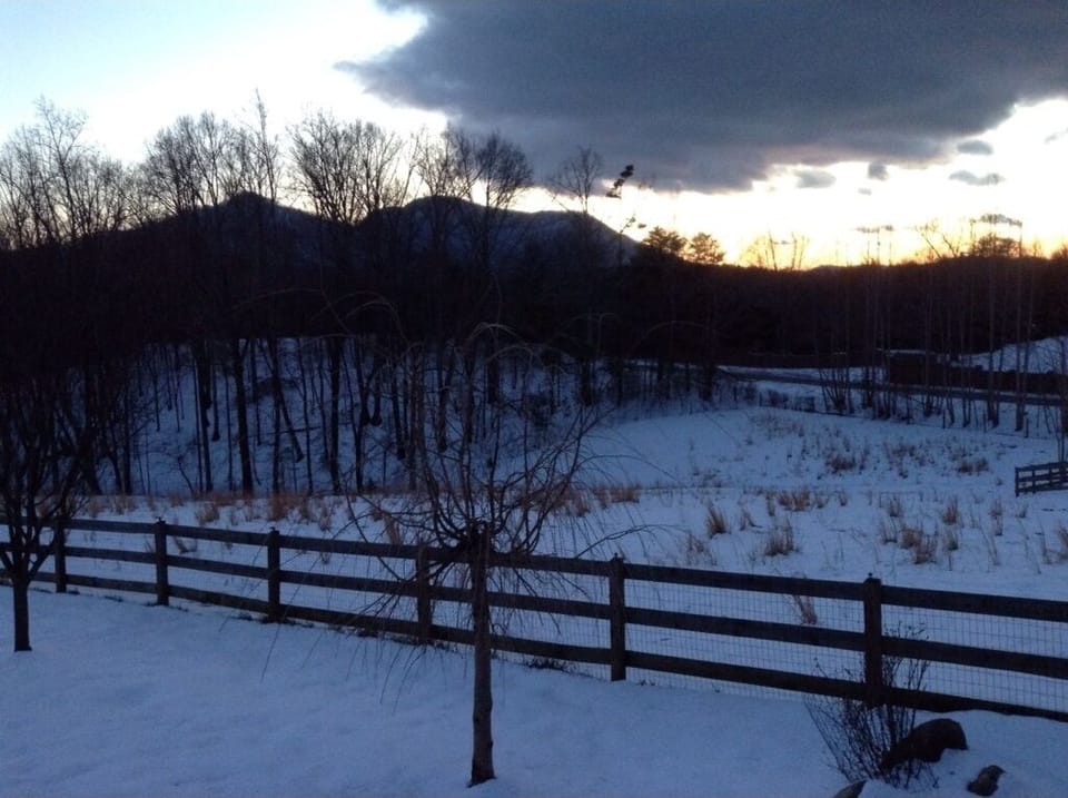 Winter view off the back deck
