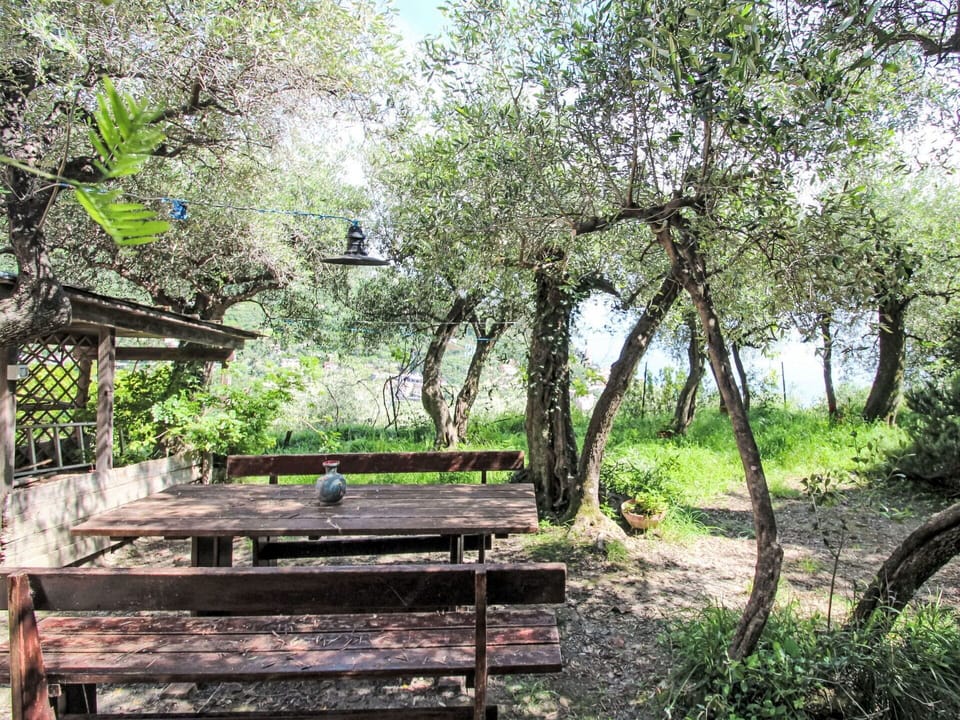 Table, Furniture, Property, Plant, Blue, Chair, Tableware, Shade, Interior Design, Outdoor Furniture