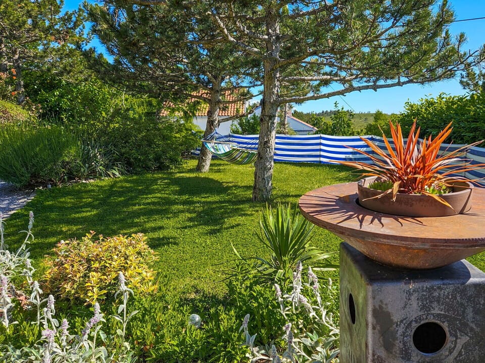 Blue, Green, Shrub, Garden, Plant Community, Lawn, Landscaping, Shade, Botanical Garden