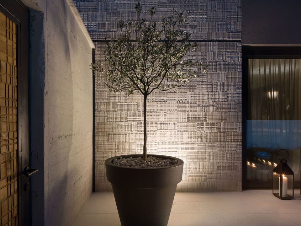 Tile, Wall, Flowerpot, Tree, Lighting, Architecture, Room, Interior Design, Plant, Houseplant