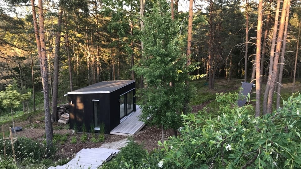 The garden and one of our two ensuite guest cabins 