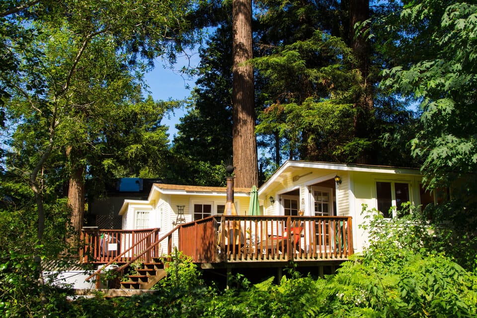 The cottage is surrounded by redwoods with a sunny afternoon deck
