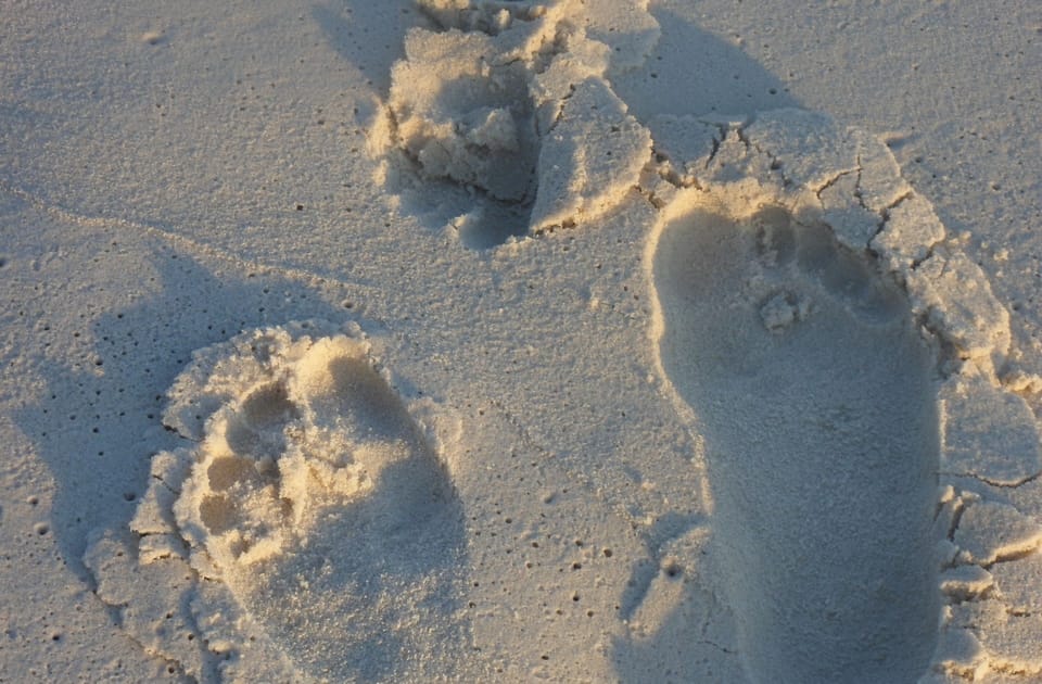 Sugar white sand.