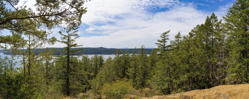 424 Orcas Hill Rd - Orcas Island Washington - 13