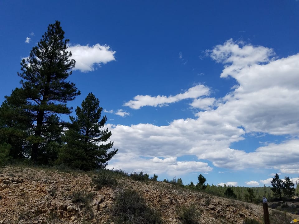 Exploring Cedar Mountain.