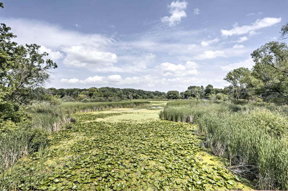 Spend the day hiking through French Park and relish the natural setting.