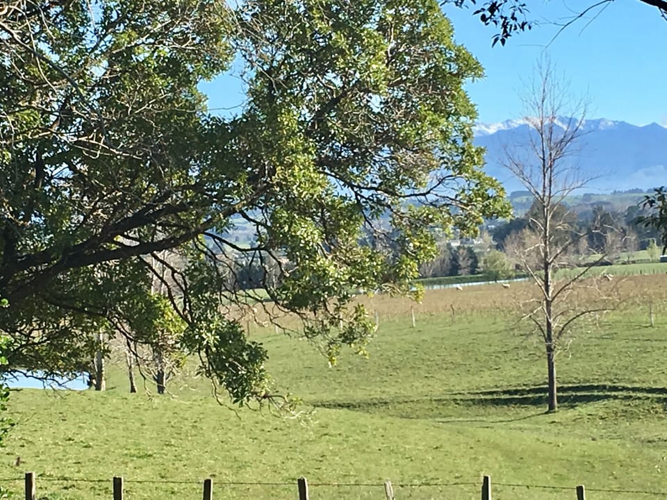 Two ensuites (small but functional)