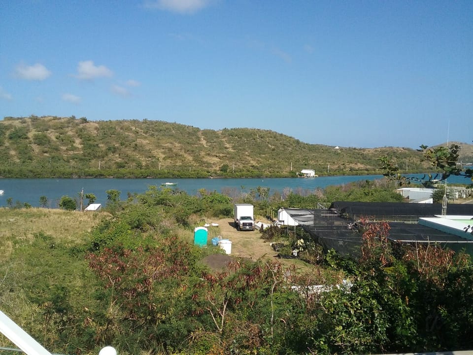 View from deck
