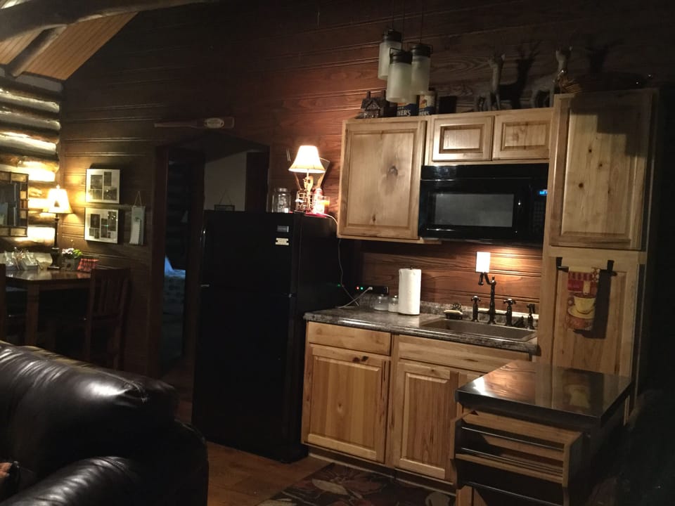 Kitchenette with large hammered copper sink, microwave, full size fridge