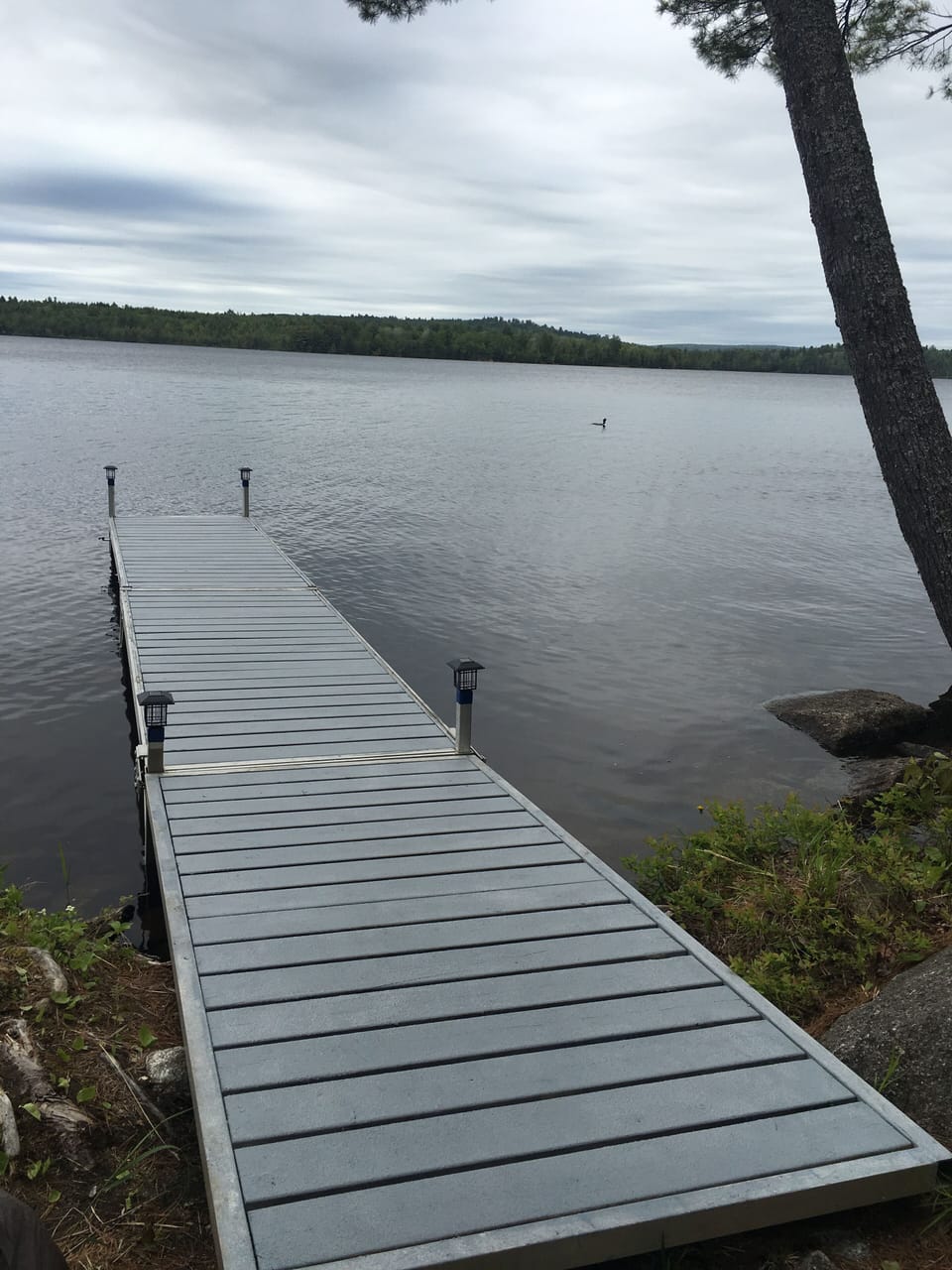 New dock 2018.