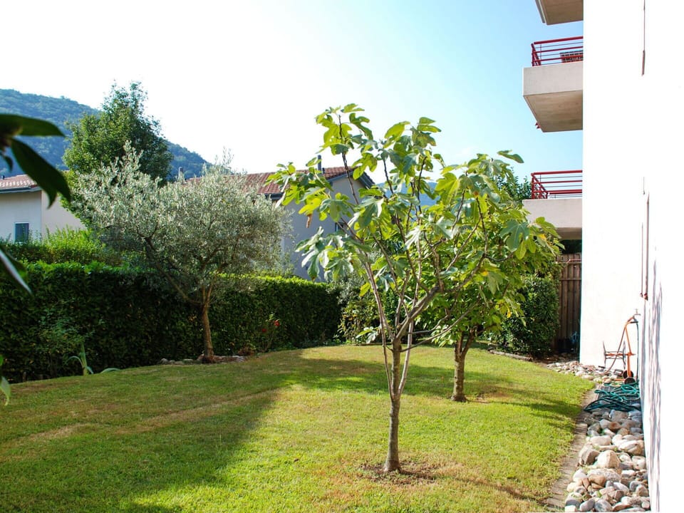 Sky, Plant, Green, Leaf, Building, Shade, Vegetation, Land Lot, Tree, Natural Landscape