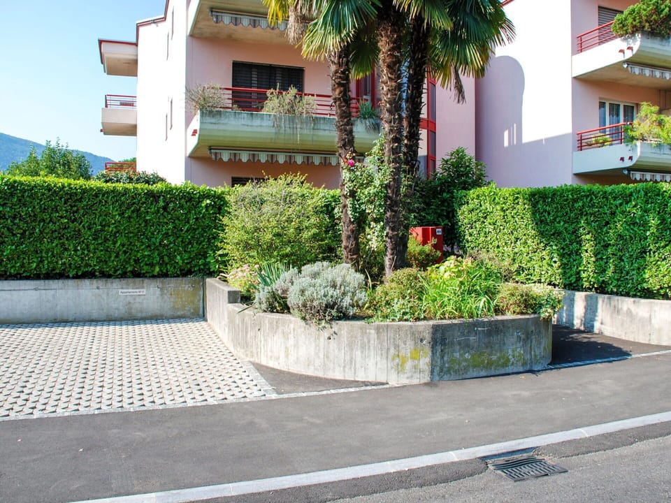 Plant, Building, Window, Vegetation, Urban Design, Road Surface, Tree, House, Residential Area, Flower