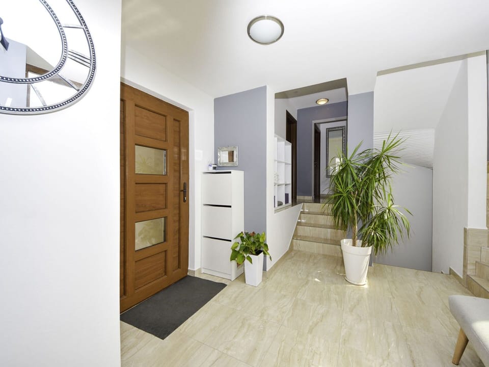 Plant, Property, White, Flowerpot, Houseplant, Wood, Architecture, Interior Design, Floor