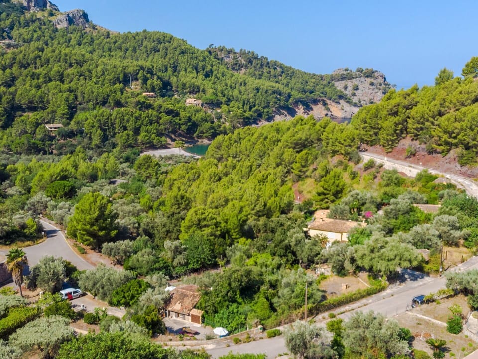Vegetation, Natural Landscape, Wilderness, Plant Community, Hill Station, Nature Reserve, Biome, Botany, Mountain, Tree
