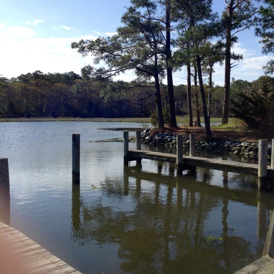 Walk to Canal Basin.