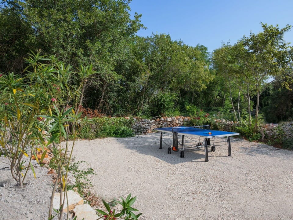 Vegetation, Nature Reserve, Property, Natural Landscape, Table, Tree, Botany, Plant Community, Garden, Real Estate