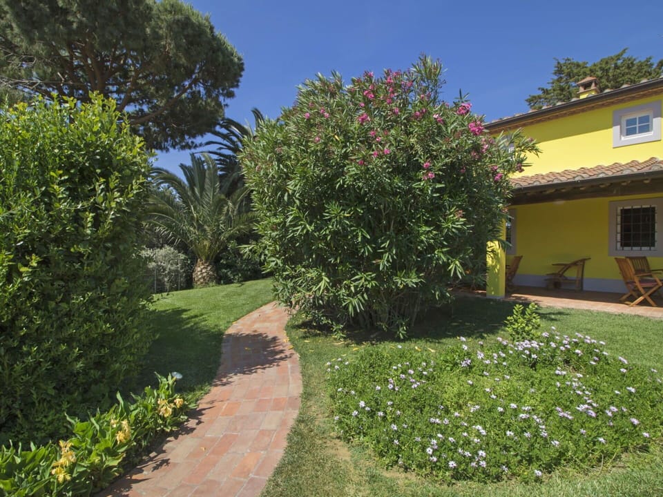 Property, Tree, Real Estate, Garden, Plant, Shrub, House, Grass, Flower, Botany