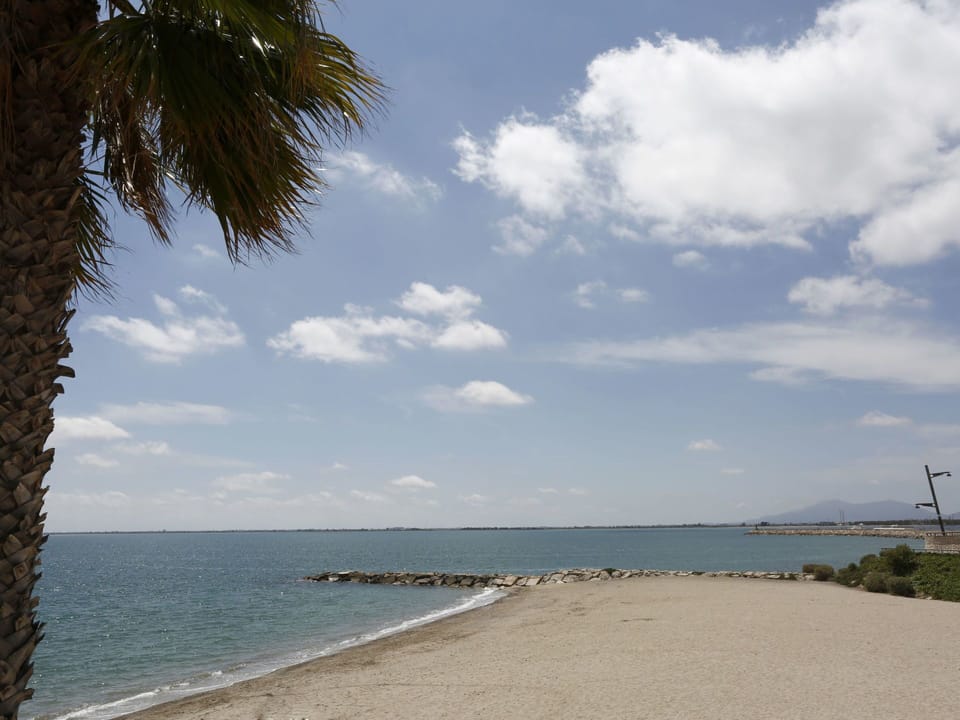 Body Of Water, Sky, Beach, Sea, Tree, Ocean, Shore, Daytime, Cloud, Tropics
