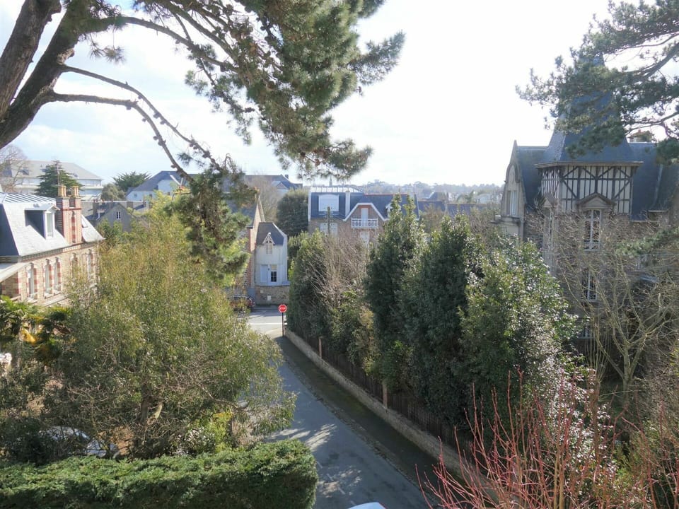 Plant, Sky, Window, Tree, Vegetation, Neighbourhood, Grass, Shrub, Real Estate, City
