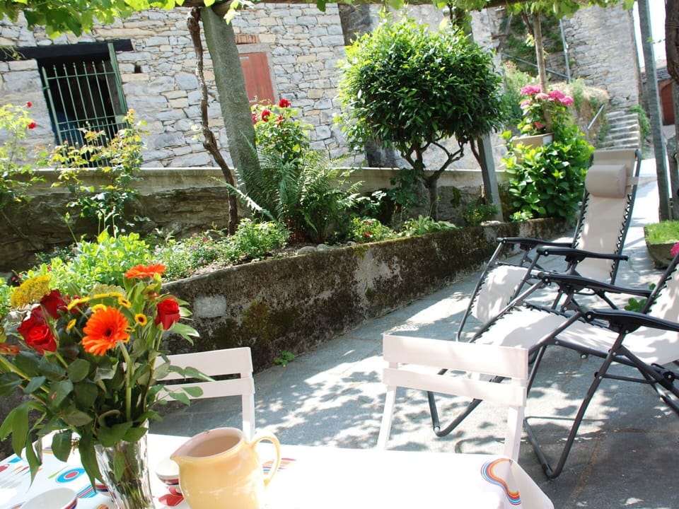 Property, Flowerpot, Patio, Courtyard, Backyard, Garden, Yard, Flower, House, Plant