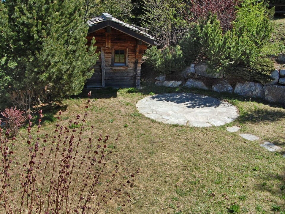 Property, Yard, Garden, Grass, House, Tree, Botany, Landscape, Backyard, Landscaping