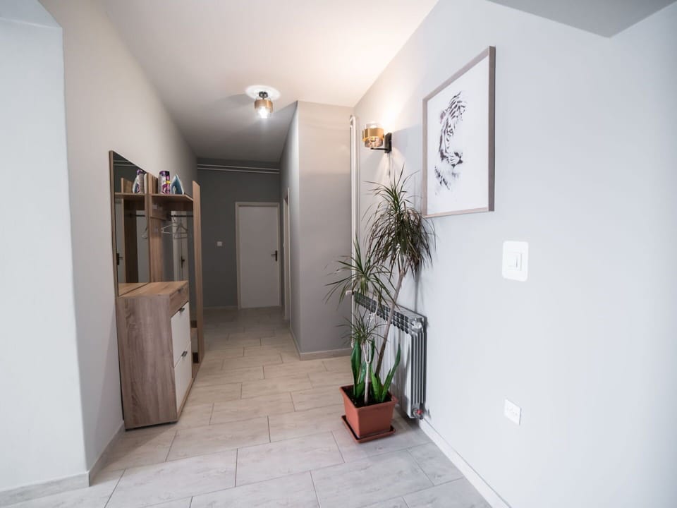 Property, Plant, Houseplant, Flowerpot, Building, Wood, Interior Design, Flooring, Floor, Picture Frame