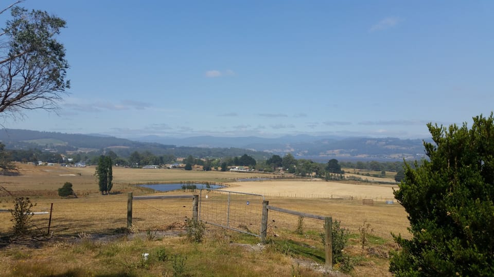 Views from the property