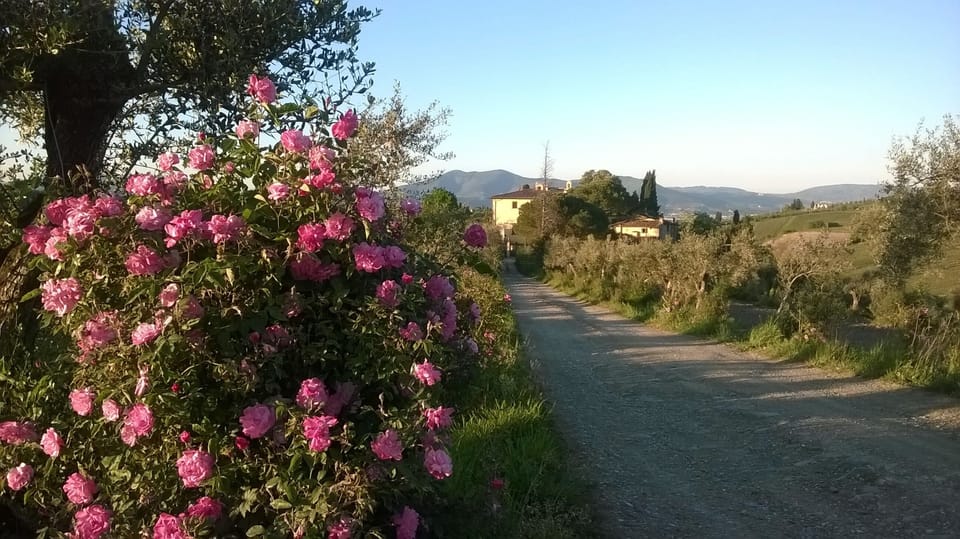 Road to property
