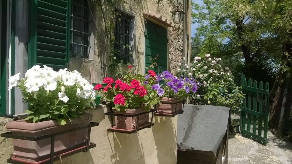 Owners' home